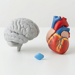 La dysfonction érectile est-elle physique ou psychologique ?