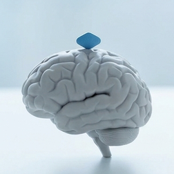 Le viagra a-t-il un effet sur les fonctions cérébrales ?